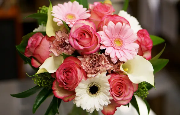 Розы, букет, герберы, Roses, каллы, Bouquets, Gerberas