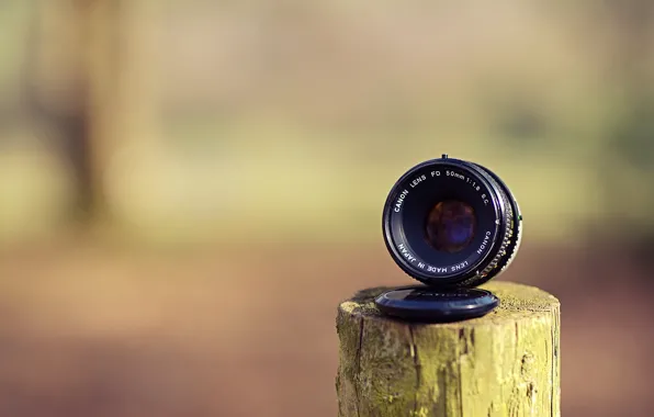Wood, Canon, lens