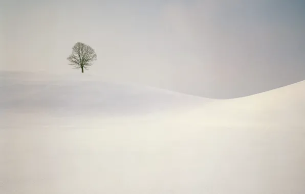Картинка дерево, холмы, минимализм