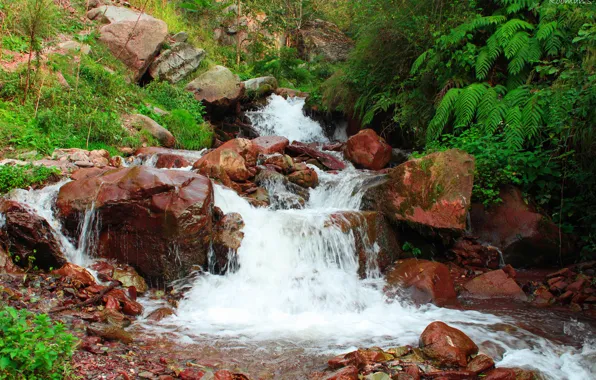 Photography, nature, water, beautiful, scenery, natural