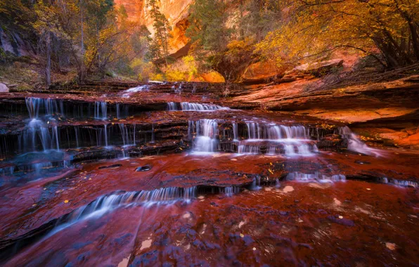 Картинка осень, деревья, река, ручей, скалы, листва, водопад, поток