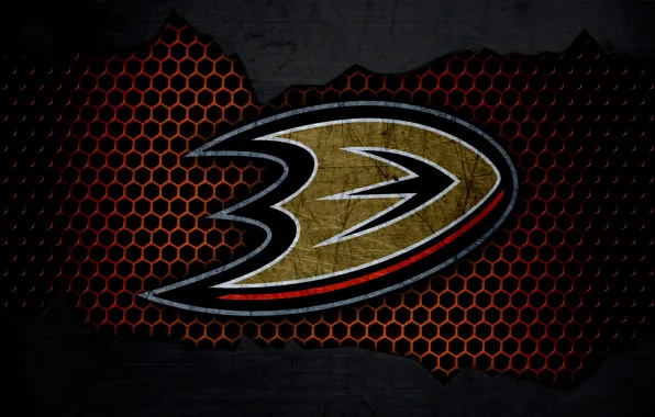 Wallpaper, sport, logo, NHL, hockey, Anaheim Ducks