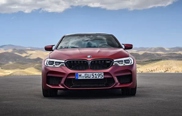 Вид спереди, 2018, BMW M5, First Edition