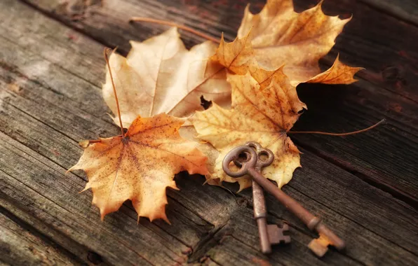 Картинка осень, листья, ключи