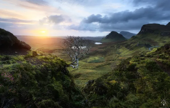 Картинка облака, горы, дерево, Шотландия, Великобритания
