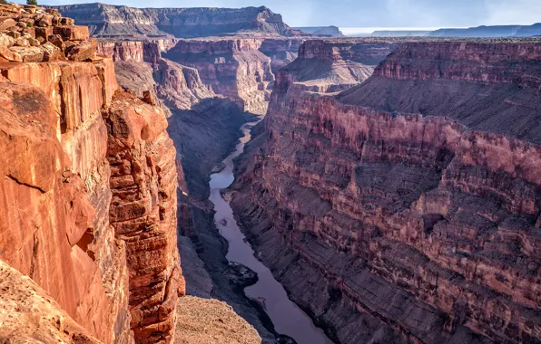 Горы, река, каньон, Аризона, ущелье, США, Grand Canyon, Toroweap Point
