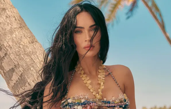 Взгляд, Меган Фокс, Megan Fox, макияж, актриса, брюнетка, hair