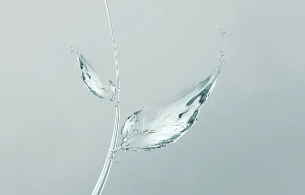 Вода, пузырьки, лист, минимализм, bubbles, minimalism, water, leaf