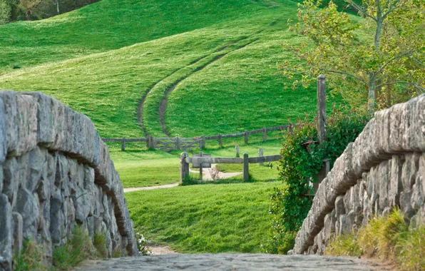 Картинка wall, grass, Nature, road, landscape, tree, hill, stones