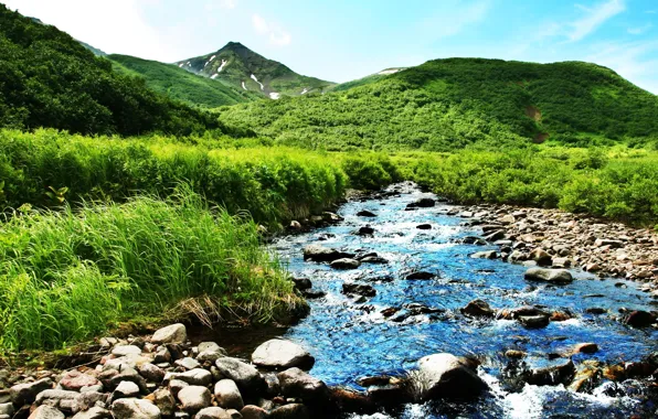 Зелень, лето, горы, природа, река, ручей
