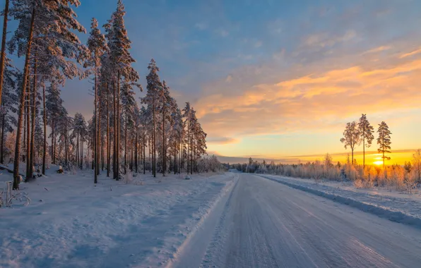 Картинка зима, дорога, снег, деревья, восход, рассвет, утро, сосны