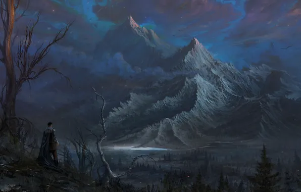 Картинка лес, горы, дерево, рыцарь