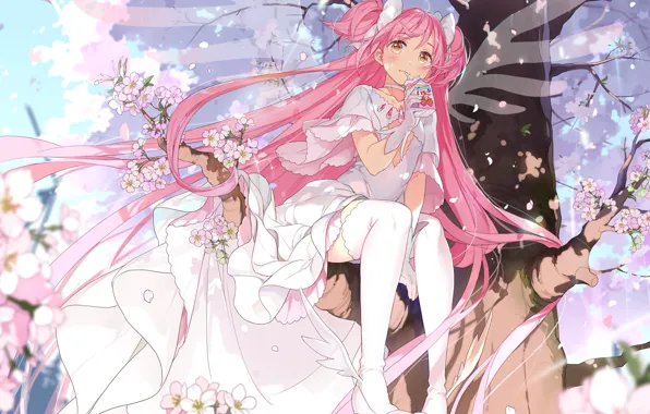 Девушка, фэнтези, mahou shoujo madoka magica, розовые волосы