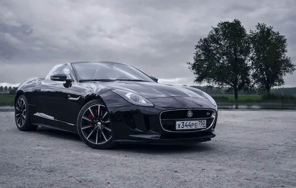 Jaguar, Авто, Машина, F-Type, Jaguar F-Type, Transport & Vehicles, by Rodion Yushmanov, Rodion Yushmanov