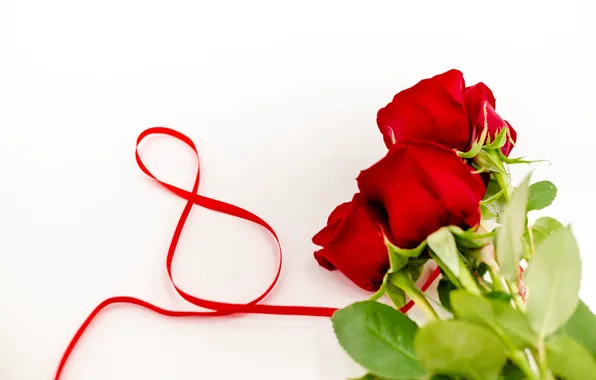 Картинка цветы, розы, лента, красные, red, 8 марта, flowers, romantic