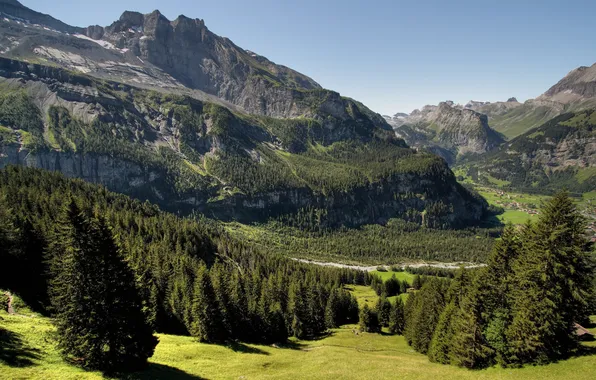 Картинка summer, grass, trees, mountains, rocks