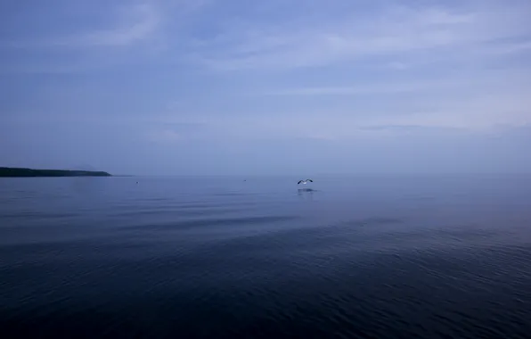 Лето, природа, байкал