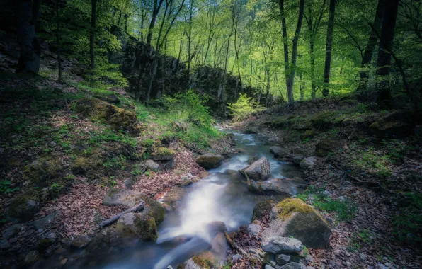 Картинка лес, камни, речка, Армения
