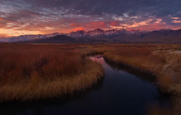 Картинка grass, california, sunset, mountains, usa, owens river