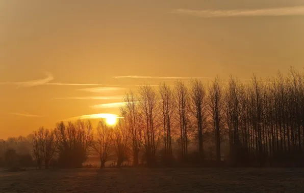 Картинка поле, осень, небо, солнце, свет, деревья, закат, дымка
