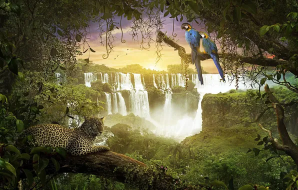 Водопад, джунгли, обезьяна, леопард, попугаи, amazonia