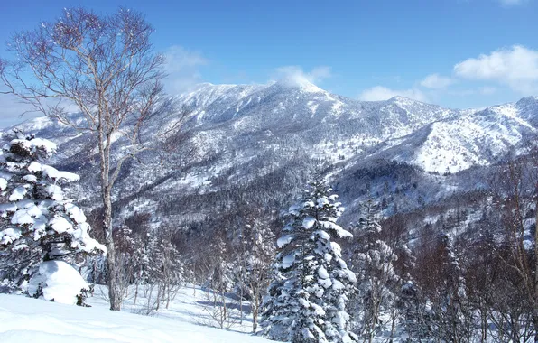 Картинка зима, небо, снег, деревья, пейзаж, горы, склон