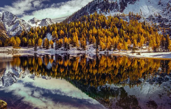 Деревья, горы, озеро, отражение, Австрия, Альпы, Austria, Alps