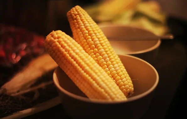 Картинка кукуруза, желтая, овощ