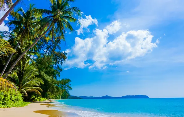 Картинка море, пляж, небо, облака, природа, тропики, пальмы