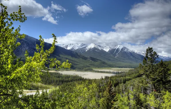 Картинка лес, Канада, Альберта, Banff National Park, Alberta, Canada, Скалистые горы, Банф