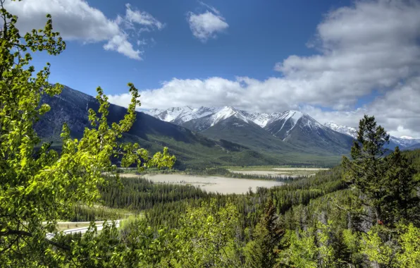Лес, Канада, Альберта, Banff National Park, Alberta, Canada, Скалистые горы, Банф