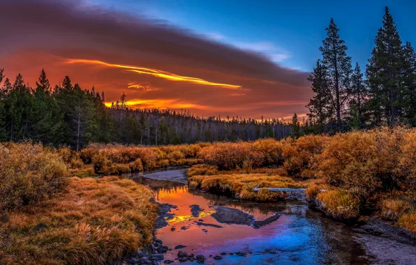 Картинка осень, лес, небо, облака, свет, закат, отражение, река