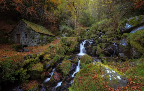 Картинка осень, лес, ручей, поток, хижина