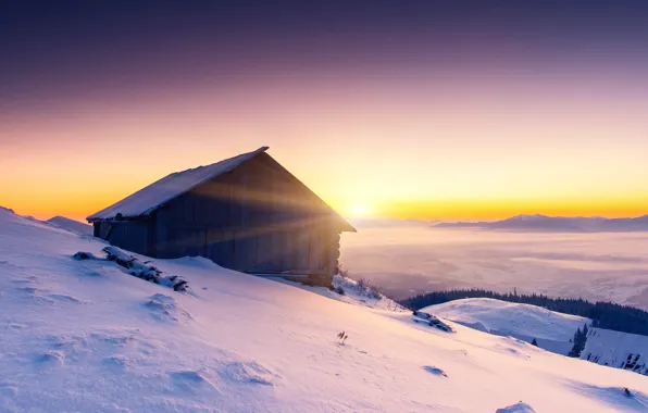 Картинка холод, зима, небо, снег, деревья, природа, дом, рассвет