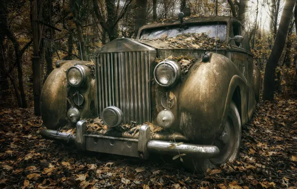 Картинка машина, лес, Rolls Royce