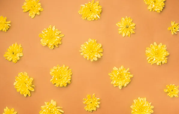 Картинка цветы, желтый, фон, бутоны, yellow, flowers, orange