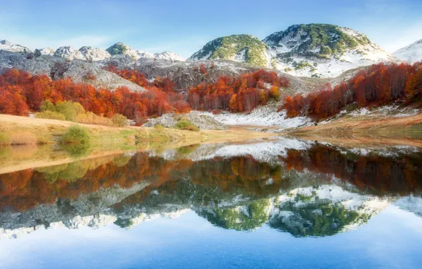 Картинка небо, гора, Деревья, Босния, Adnan Bubalo, Zelenogora