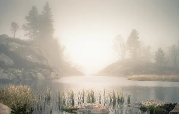 Пейзаж, туман, река, утро