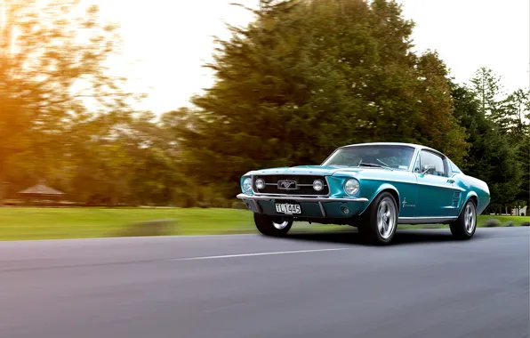 Mustang, Ford, форд, 1967