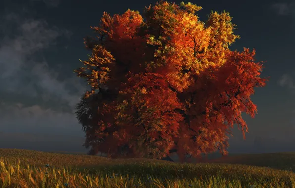 Осень, трава, дерево, digital, red and gold