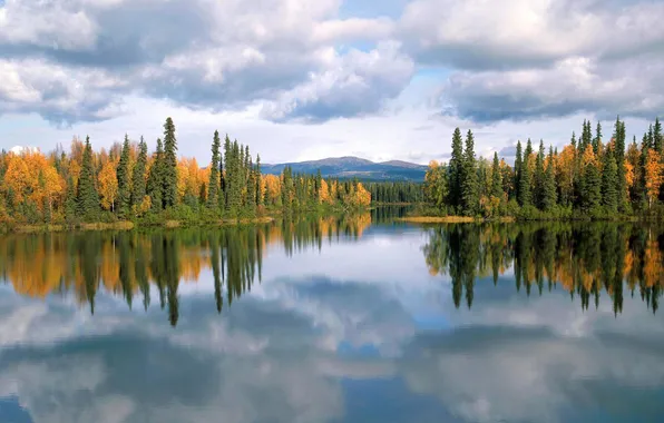 Осень, лес, деревья, озеро, отражение, Canada, Yukon, Dragon lake