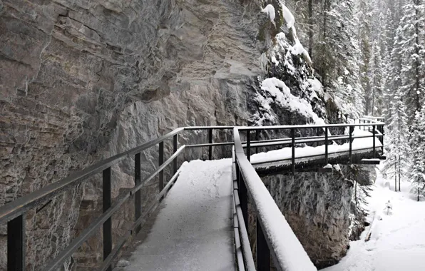 Картинка зима, снег, скала, Канада, Альберта, мостик, Джонсон-Каньон