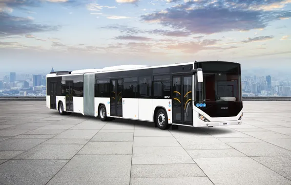City bus, Otokar, Kent LF, Körüklü