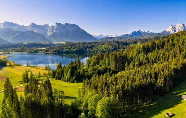 Лес, горы, озеро, Германия, долина, Бавария, Germany, Bavaria
