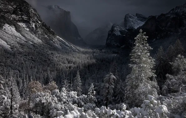 Картинка лес, снег, горы, долина, Калифорния, California, Yosemite Valley, Yosemite National Park