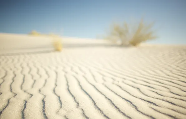 Картинка песок, макро, природа, фото, пустыня, пейзажи, пустыни, обои для рабочего стола