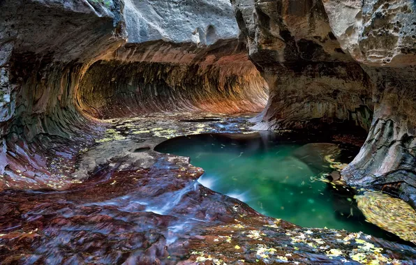 Ручей, скалы, тоннель, Zion National Park, сша, юта