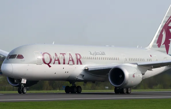 Самолет, Лайнер, 787, Boeing, Dreamliner, ВПП, Boeing 787, Qatar Airways