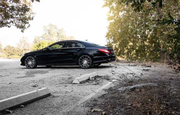 Side, black, Mercedes Benz, мерседес, CLS550