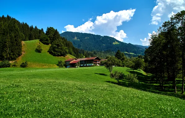 Картинка небо, трава, облака, деревья, горы, дом, поля, Германия